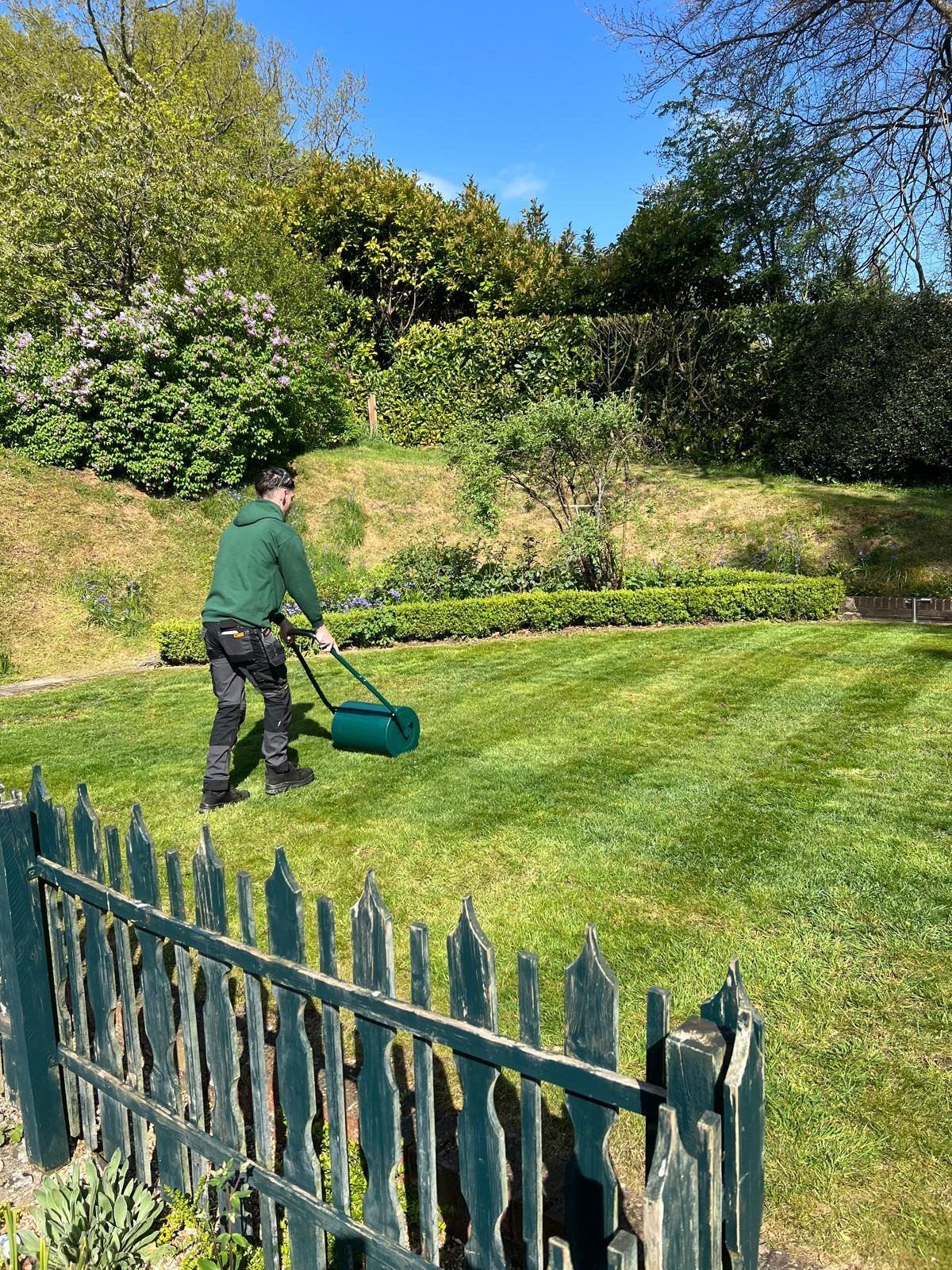 A member of the Easy Green team rolling a freshly cut lawn